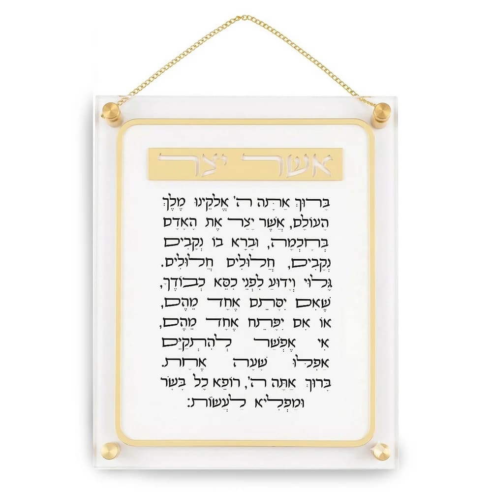 אשר יצר ע.מ אקריליק 29X35 ס"מ